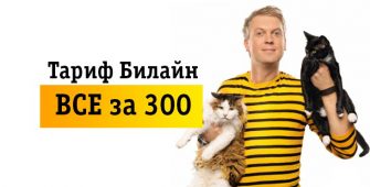 Тарифный план Билайн «Все за 300»