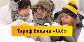 Тарифный план Билайн «Go!»