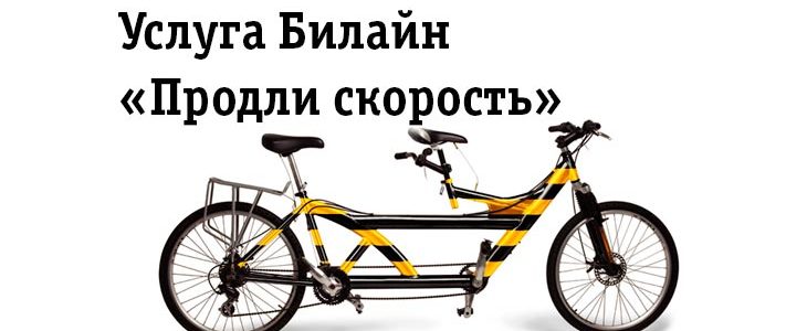 Услуга Билайн