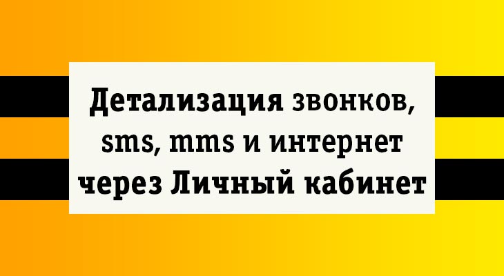 Почему в детализации «Билайн» не отражаются входящие смс?