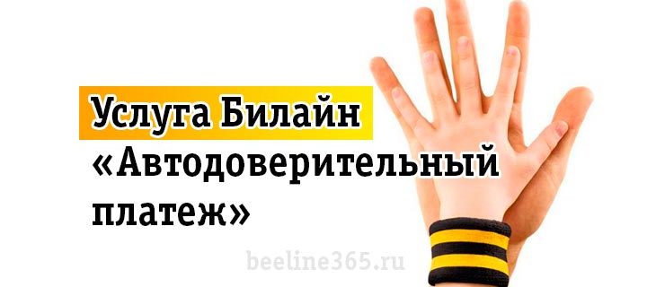 Как подключить услугу Билайн «Автодоверительный платеж»