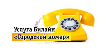 Услуга Билайн «Городской номер»