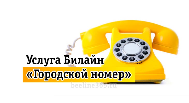 Мобильный городской номер. Городской номер. Услуга городской номер. Билайн городской номер. Отключен городской телефон.